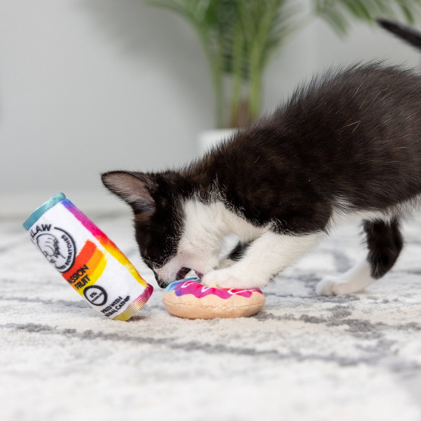Donut & Kitty Klaw Passion Fruit 2pk Cat Toy