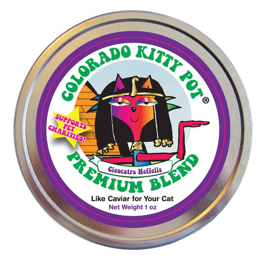 Colorado Kitty Pot Premium Cleocatra