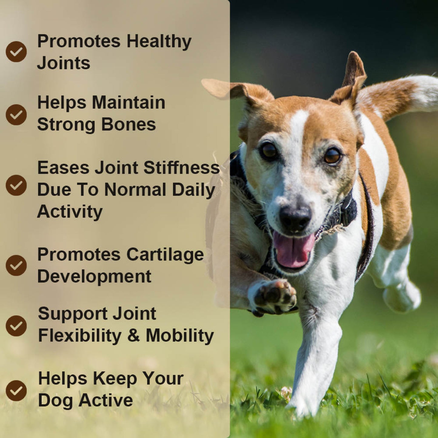 Hip and Joint Chews by Puppy Community