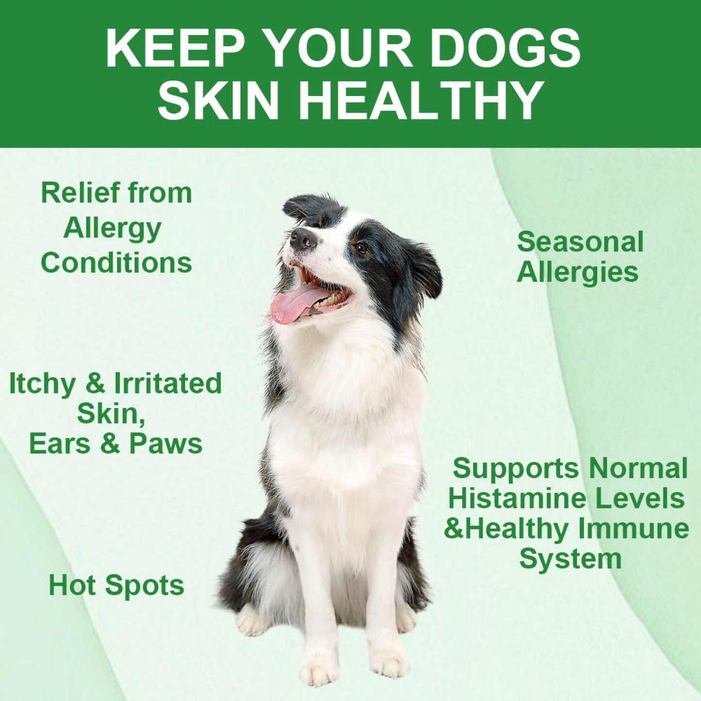 Allergy Chews by Puppy Community