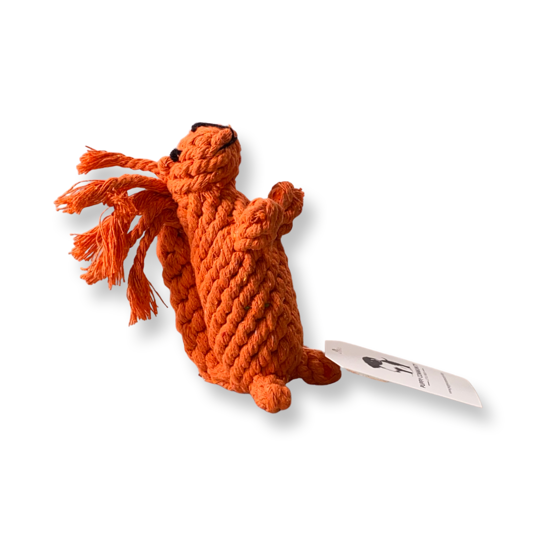 Squirrel Rope Dog Toy