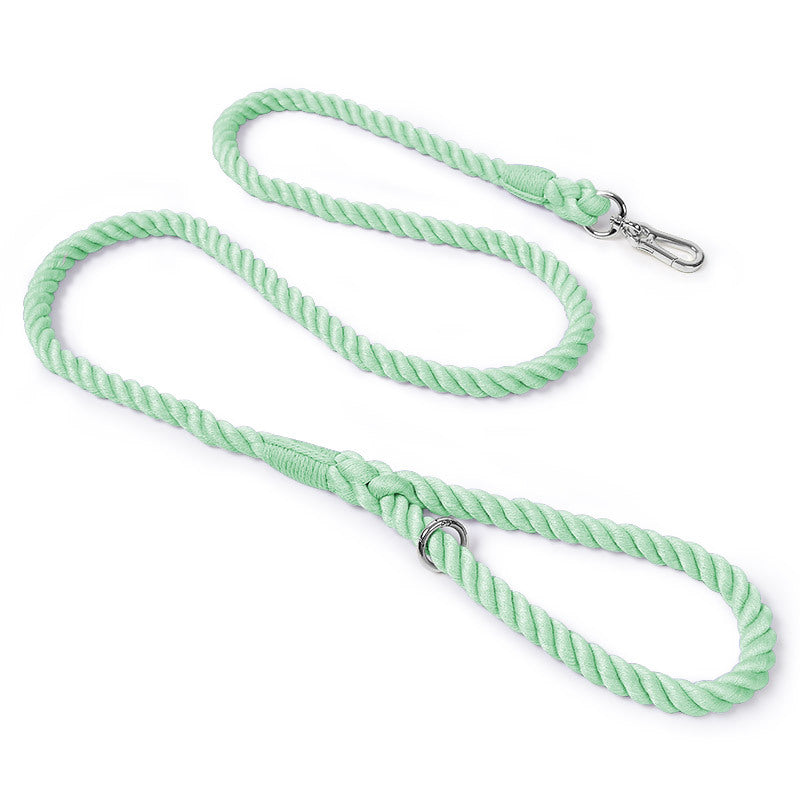 6 Foot Mint Green Rope Leash by Puppy Community