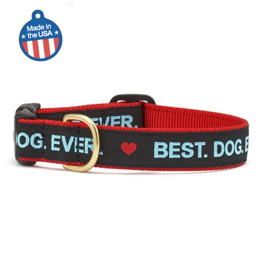 Best Dog Ever Collar or Leash by Threaded Pear