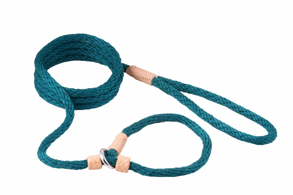 Nylon Slip Leash With 2 Stoppers by Alvalley