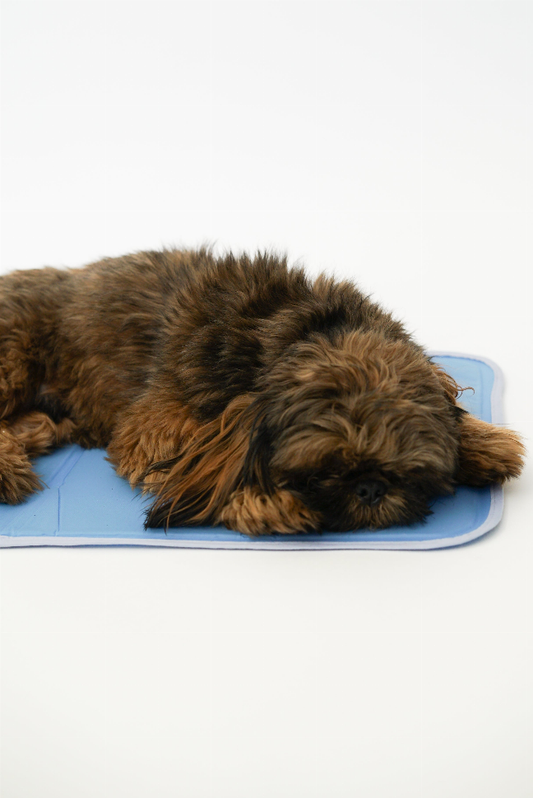 Dog Cooling Mat by Cool Pet Pad