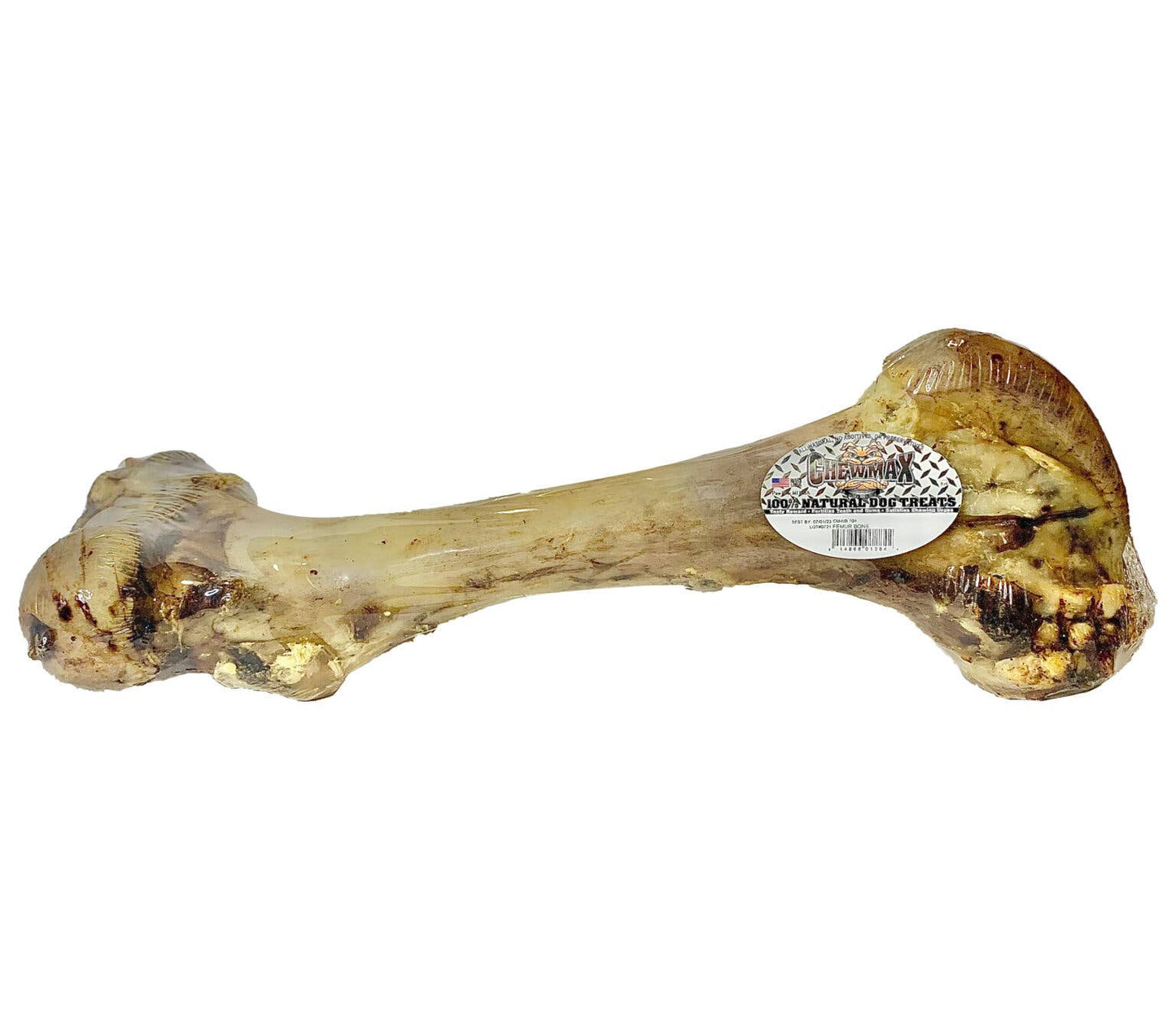 Femur Bone