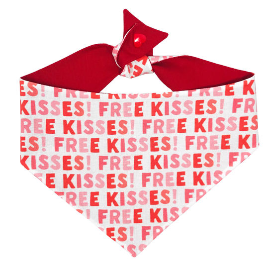 Free Kisses Tie On Dog Bandana for Valentine's Day