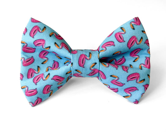 Toucan Pool Float Pet Bowtie