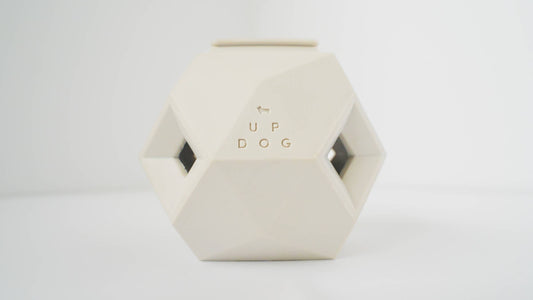 Modern Interactive Dog Puzzle Toy - The Odin