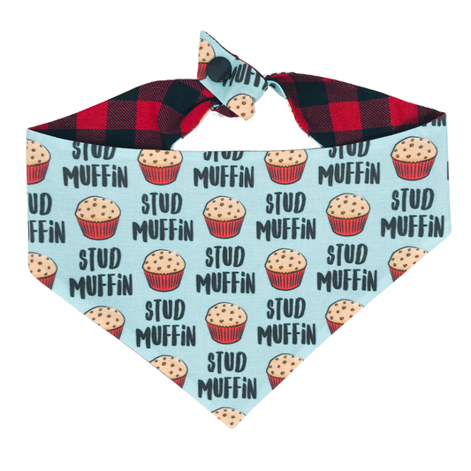 Stud Muffin Reversible Tie On Dog Bandana