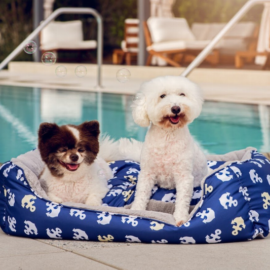 Anchors Away Dog Bed by Petique