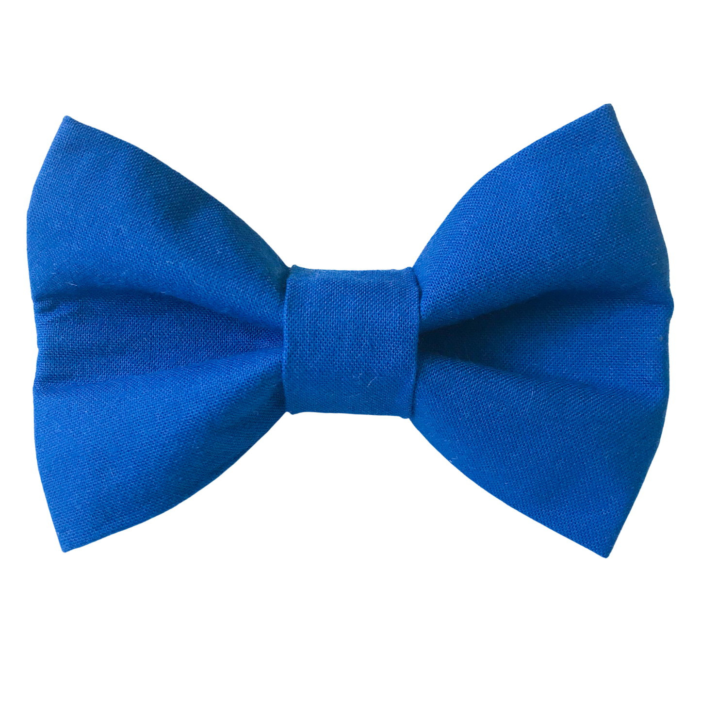 Royal Blue Dog Bowtie