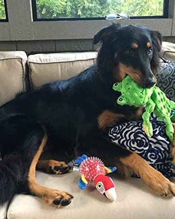 13" Frog Dog Toy with Ball Squeaker by Spunky Pup Furry Friends