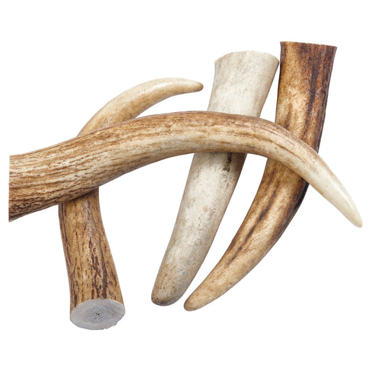 Dog and Puppy Antler Chews