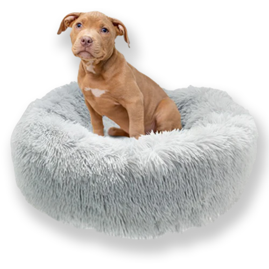 Donut Dog Bed