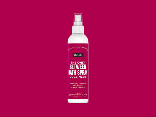 The Only Between Bath Spray Dogs Need - Winter Scent