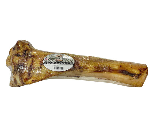 Tibia Bone