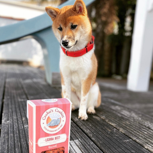 Lisboa Beet - Natural Dog Treats with Superfoods