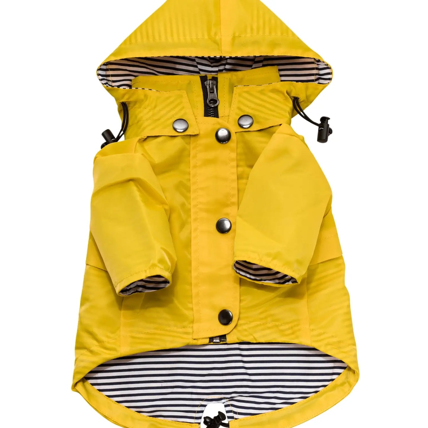 Modern Dog Raincoat