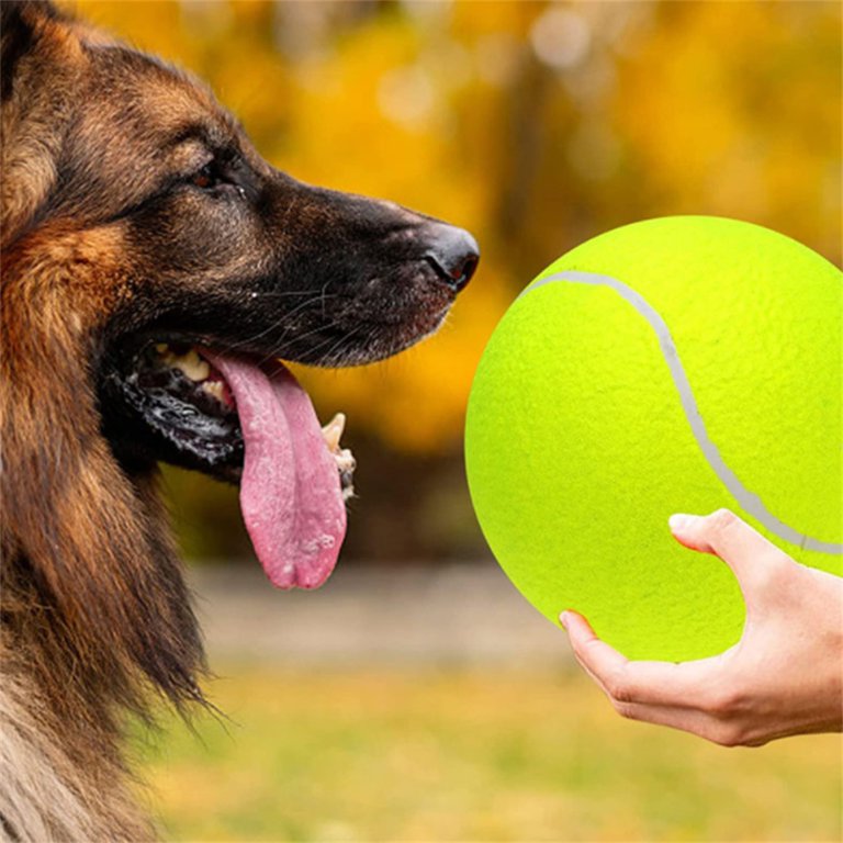 Jumbo Tennis Ball